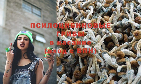 а пвп мука Карпинск