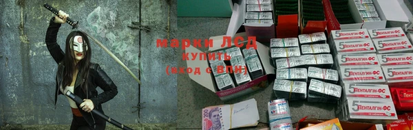 apvp Карталы