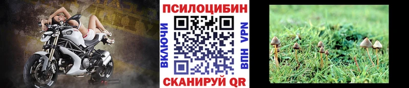 Купить закладки  Остров  Галлюциногенные грибы Psilocybe 